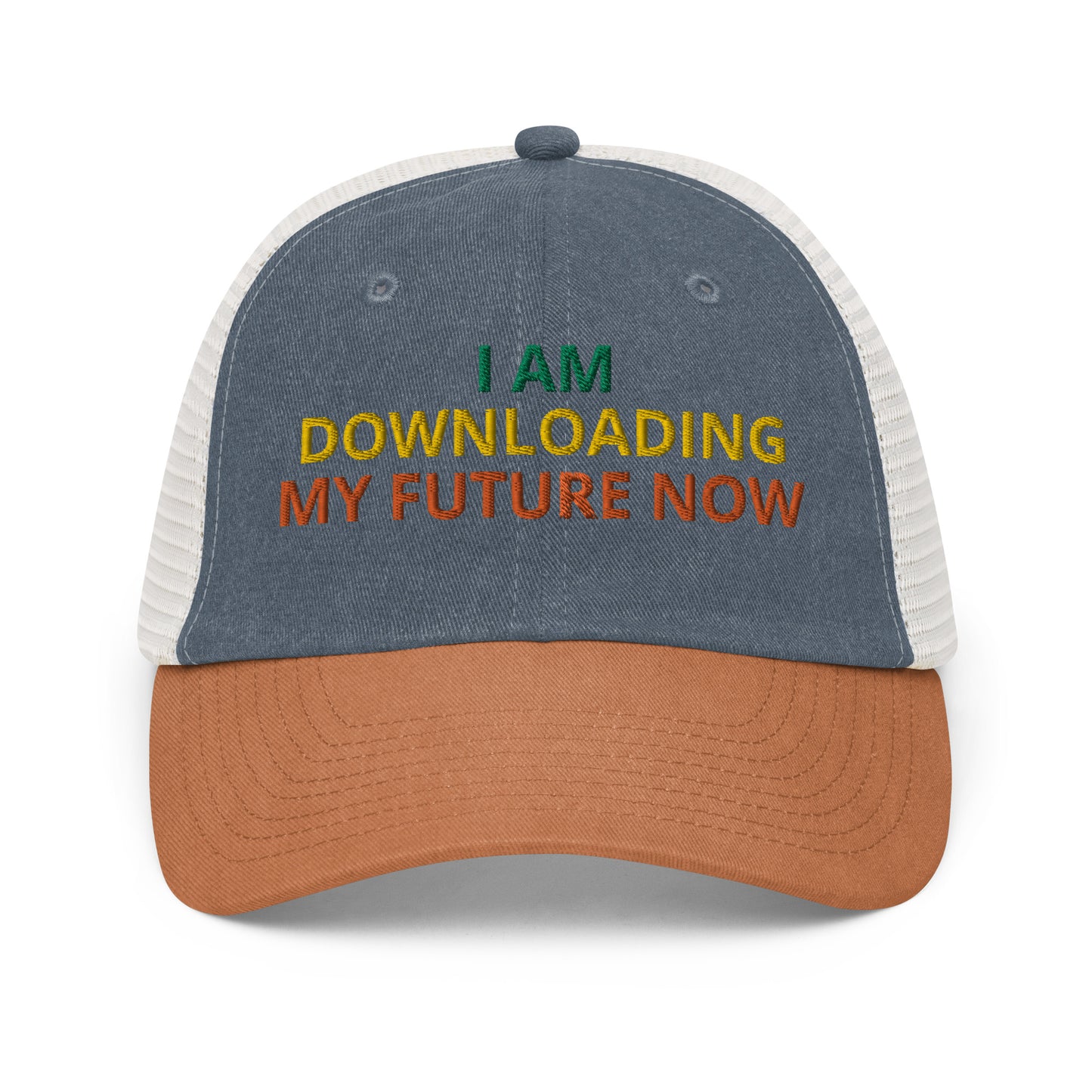 I AM DOWNLOADING MY FUTURE NOW HAT