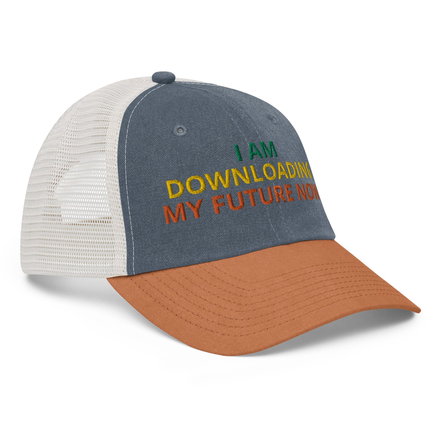 I AM DOWNLOADING MY FUTURE NOW HAT