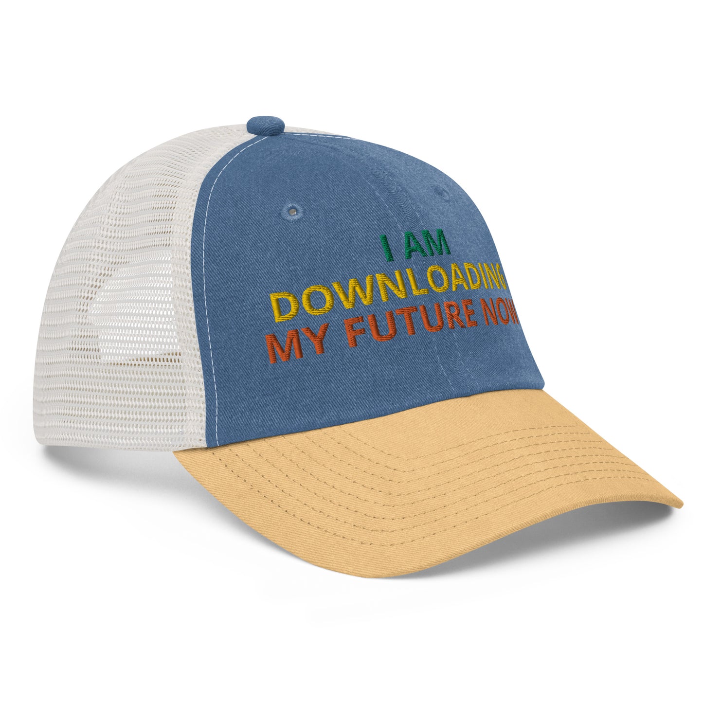 I AM DOWNLOADING MY FUTURE NOW HAT