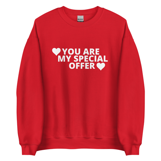 Unisex You Are My Special Offer Valentine Sweatshirt SS-95